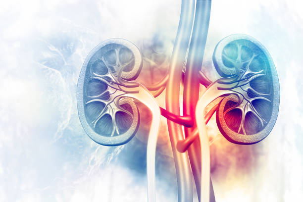 Insuficiencia Renal Aguda en adultos mayores. Recomendaciones para su cuidado.